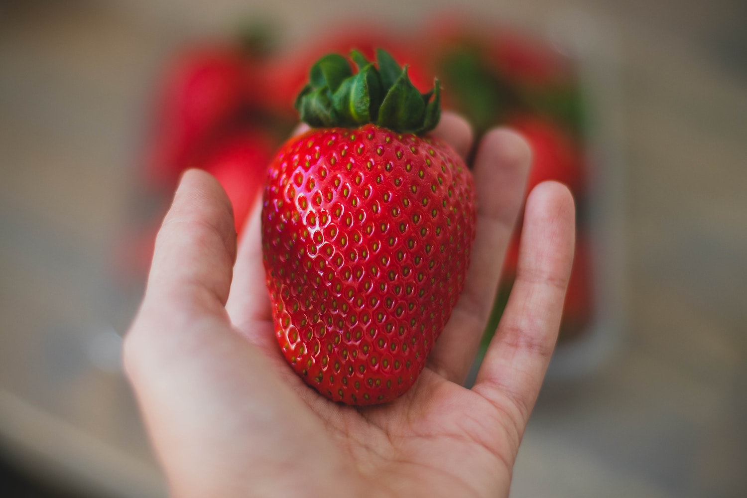 Fruitstruiken verzorgen